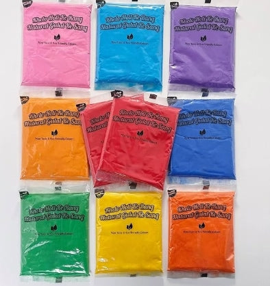 Wild Colours Premium Holi Colours - 10x100g (1kg) - Non-Toxic & Skin Friendly